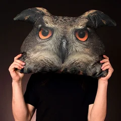 подушка болшая сова  