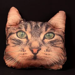 подушка кот полосатый  