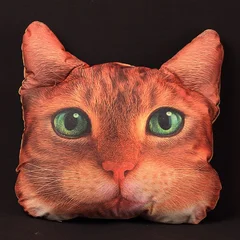 подушка рыжий кот  