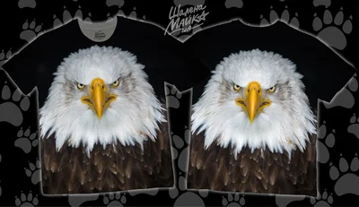 Футболки с полной запечаткой: орел(4)