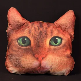 Подушки с фото: подушка рыжий кот  