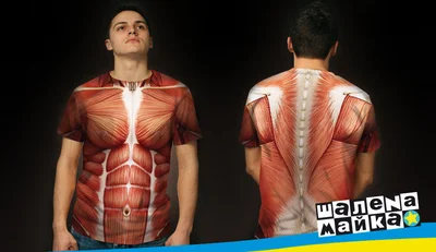 Футболки с полной запечаткой: тело