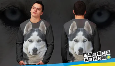 Свитшоты с полной запечаткой: хаски