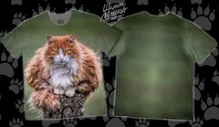 кошка, кот, котенок, cat