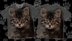 кошка, кот, котенок, cat