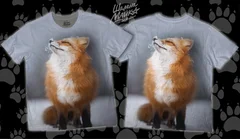 лиса, лисичка, fox