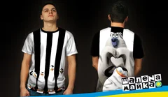 пингвины, Мадагаскар