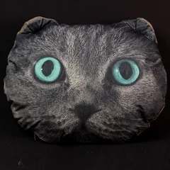 подушка, кот