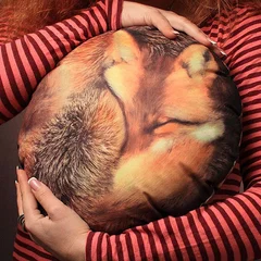 подушка, лис